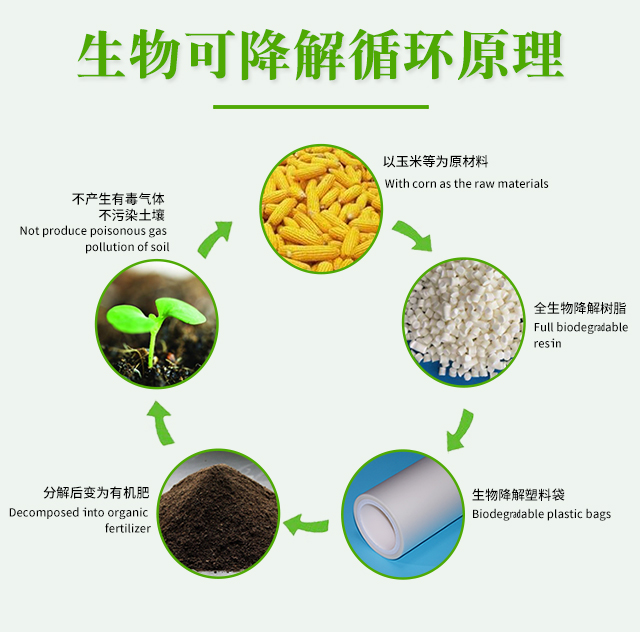 世界各国禁塑令-生物降解袋市场机遇来了(图1)