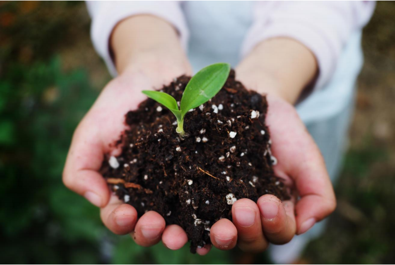 巴斯夫携手彤程新材料集团在中国合作生产经 认 证可堆 肥共聚酯 (PBAT)(图2)