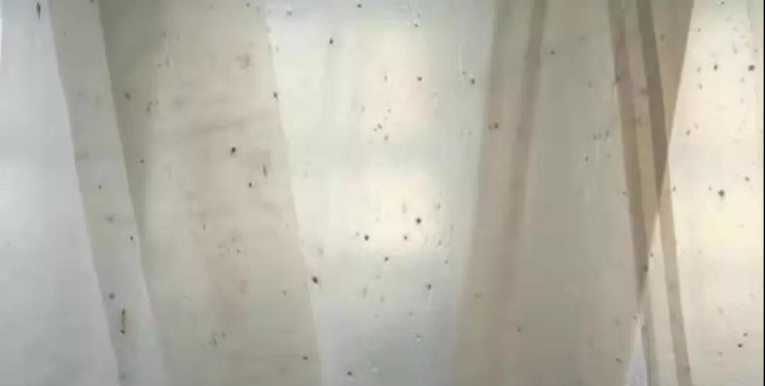 PBAT膜袋有黑点是什么原因？(图1)